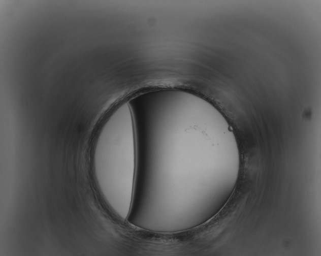X0000090440304200707131036