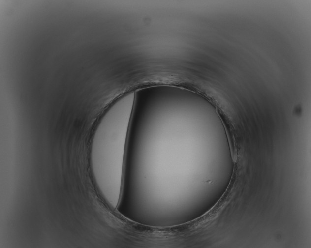 X0000090440305200707131036