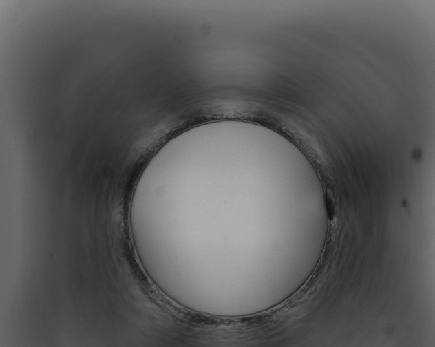 X0000090440306200707131036