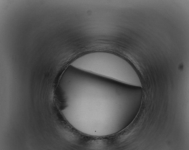 X0000090440307200707131036