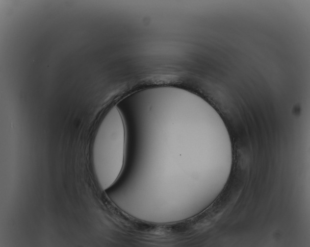X0000090440308200707131036