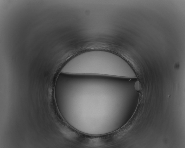 X0000090440309200707131036