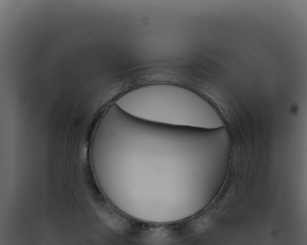 X0000090440310200707131036