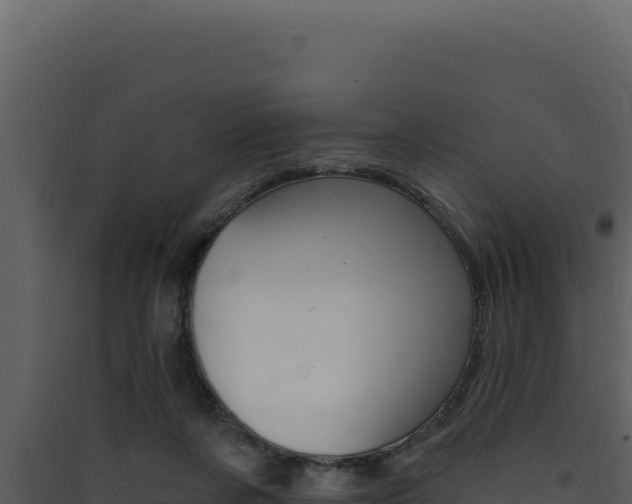 X0000090440311200707131036