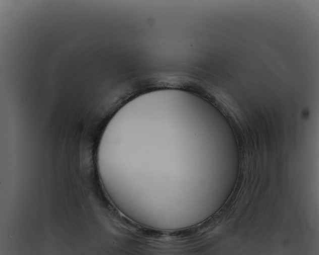 X0000090440312200707131036