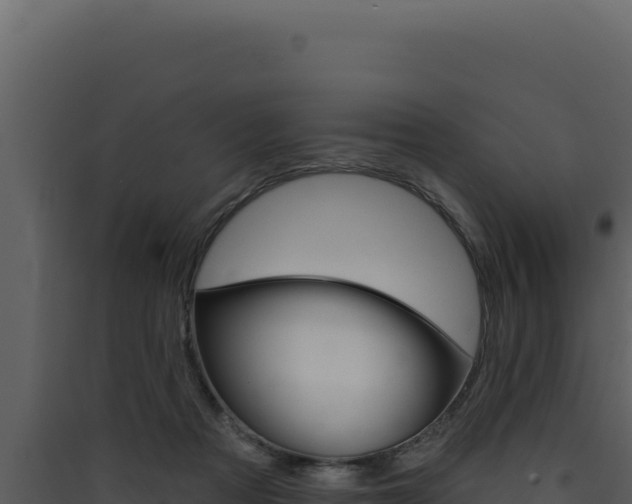 X0000090440313200707131036
