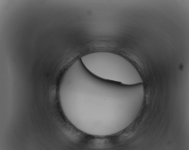 X0000090440314200707131036