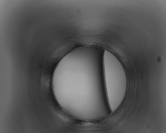 X0000090440315200707131036
