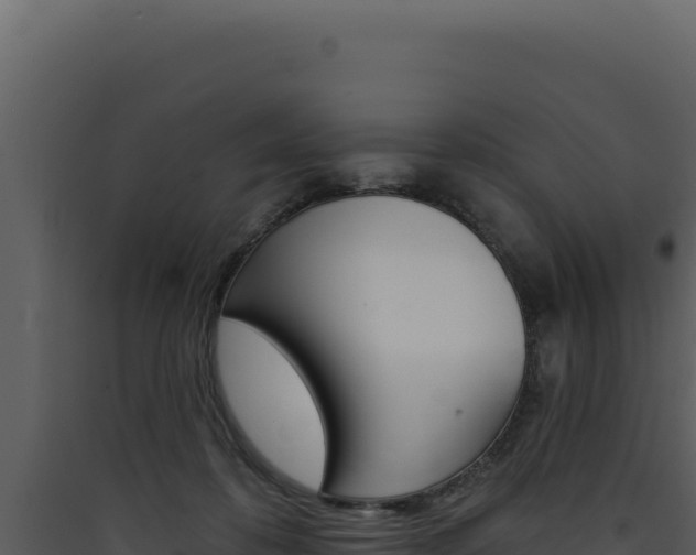 X0000090440316200707131036