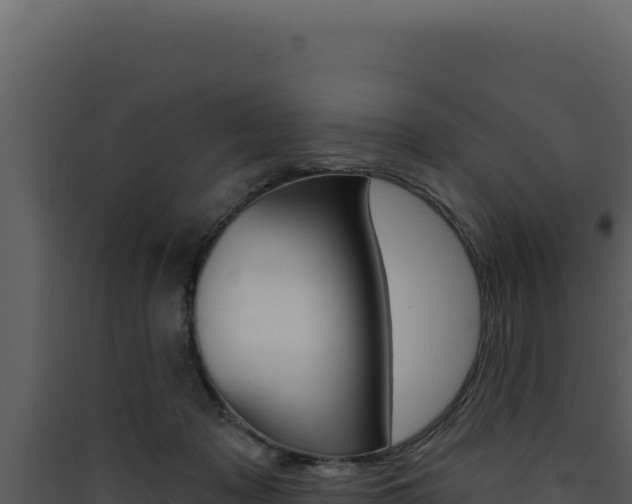 X0000090440317200707131036