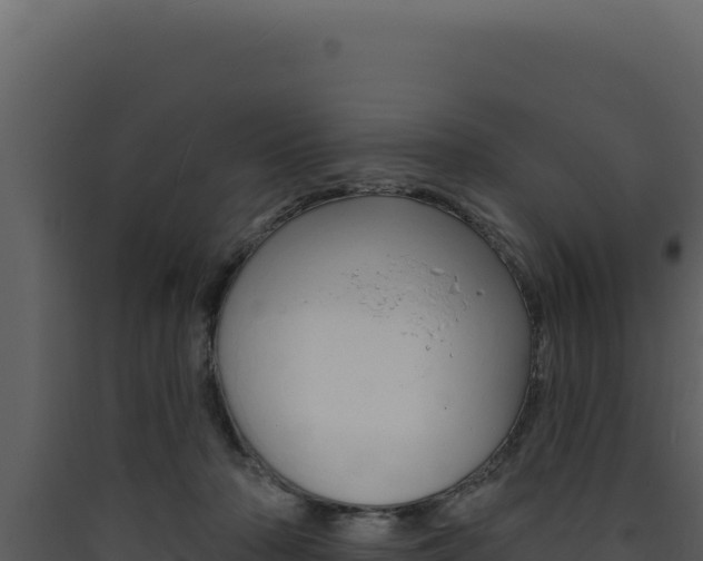 X0000090440318200707131036