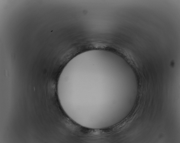 X0000090440321200707131036