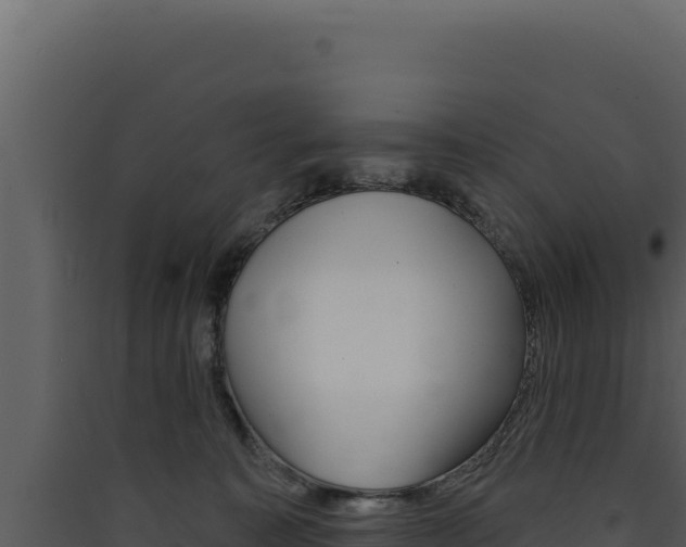 X0000090440323200707131036