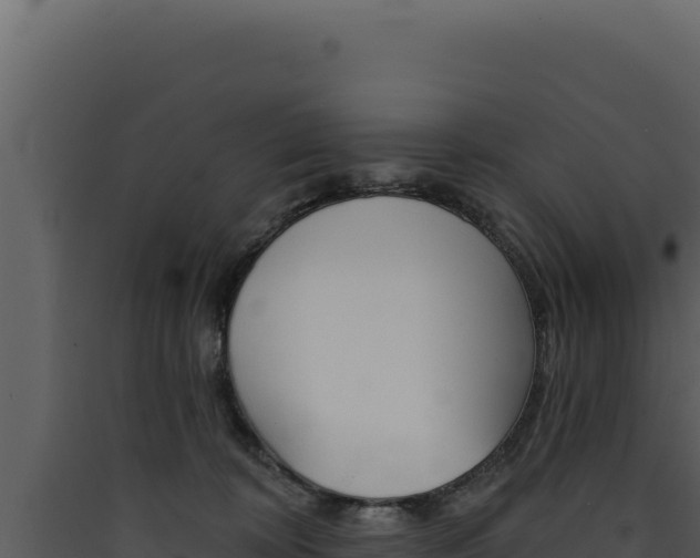 X0000090440324200707131036