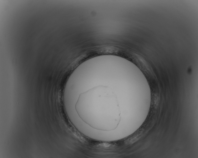 X0000090440326200707131036