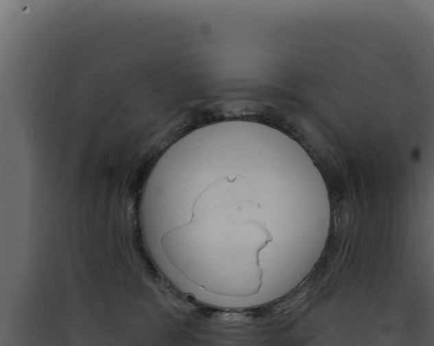 X0000090440327200707131036