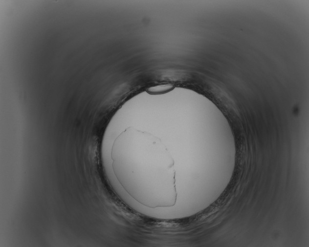 X0000090440328200707131036