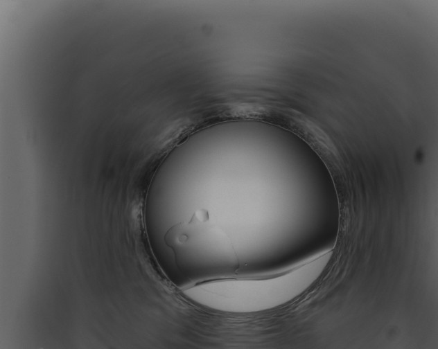 X0000090440329200707131036