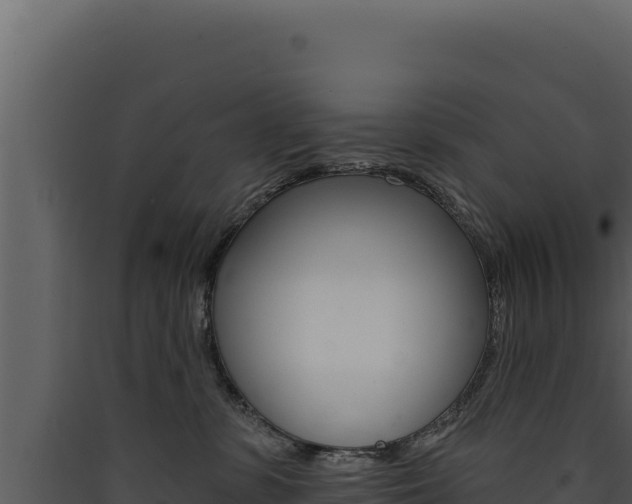 X0000090440331200707131036