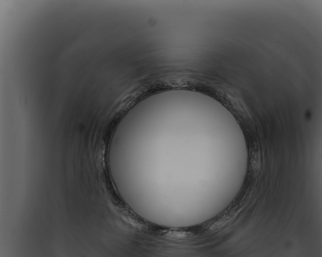 X0000090440332200707131036
