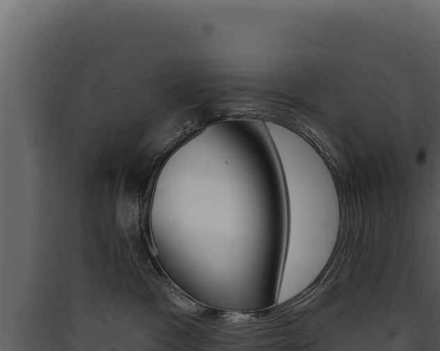 X0000090440333200707131036