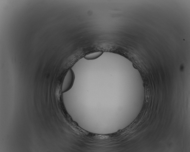 X0000090440334200707131036