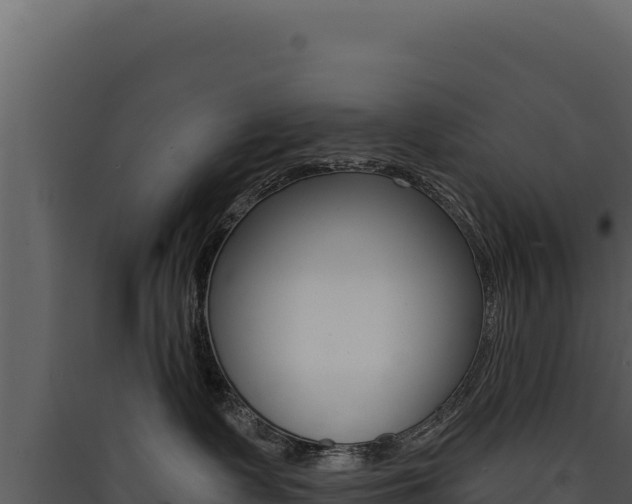 X0000090440335200707131036