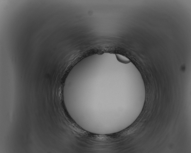 X0000090440336200707131036