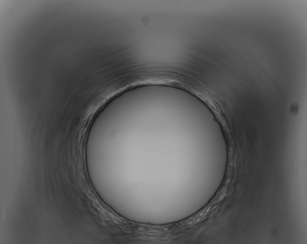 X0000090440337200707131035