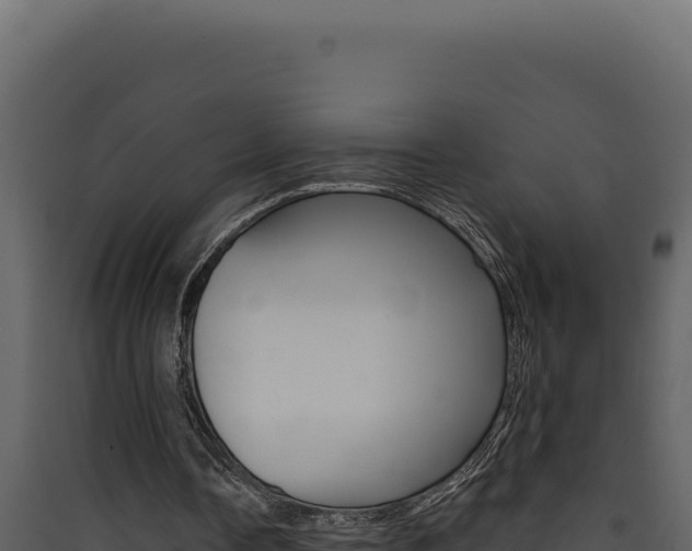X0000090440338200707131035