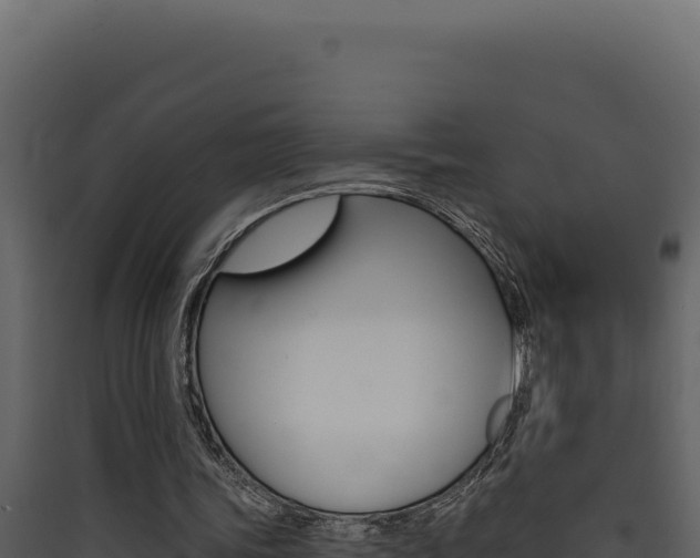 X0000090440339200707131035