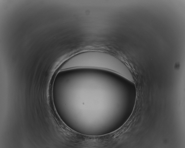X0000090440340200707131035