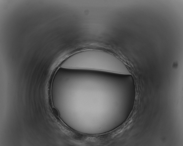 X0000090440341200707131035