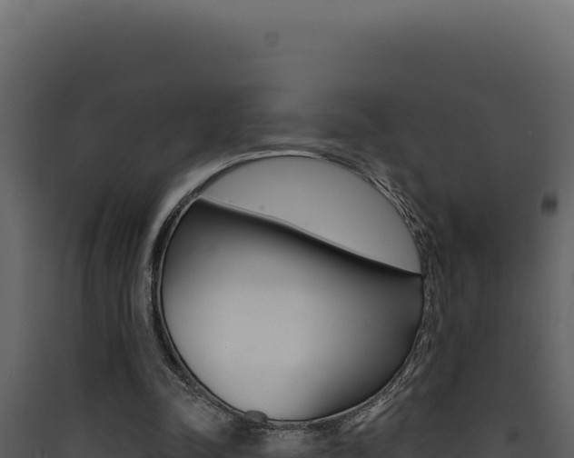 X0000090440342200707131035