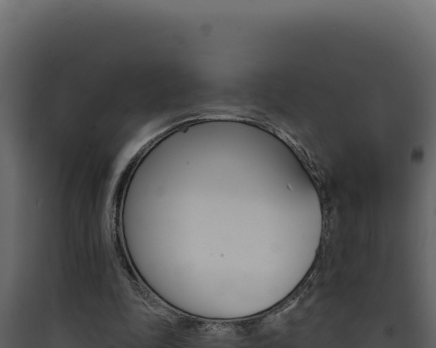X0000090440343200707131035