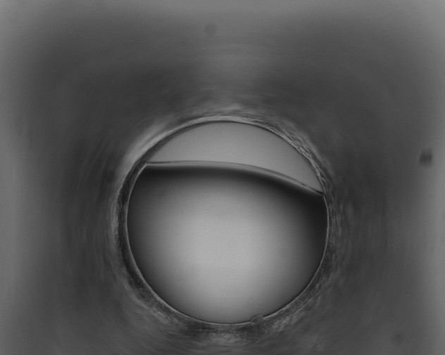 X0000090440344200707131035