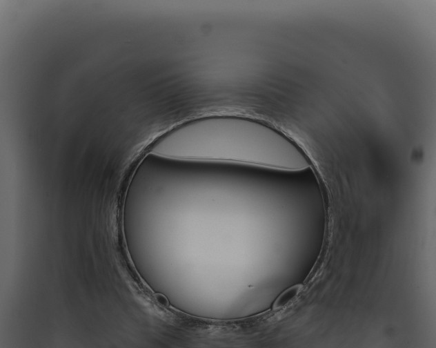 X0000090440345200707131035
