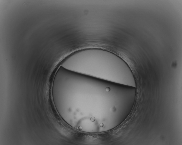 X0000090440346200707131035