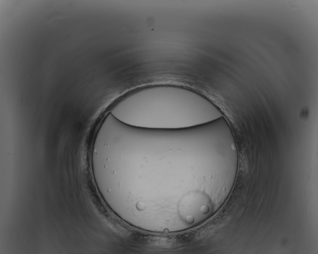 X0000090440347200707131035