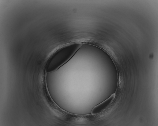 X0000090440348200707131035