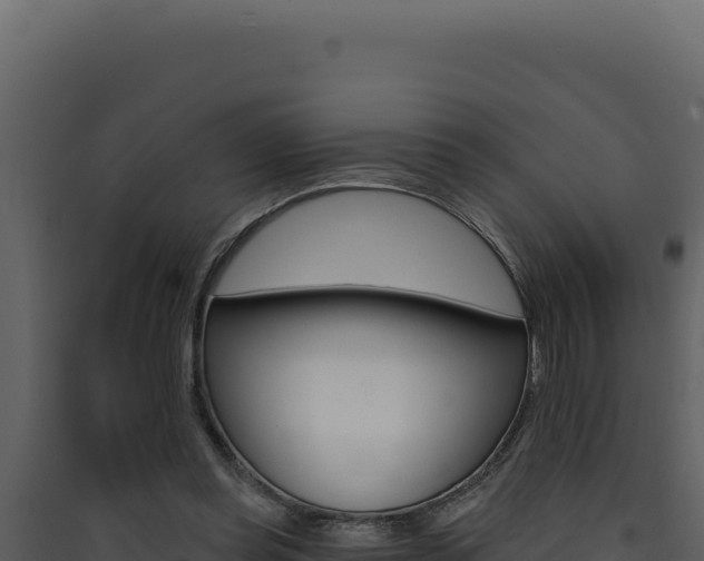 X0000090440349200707131035