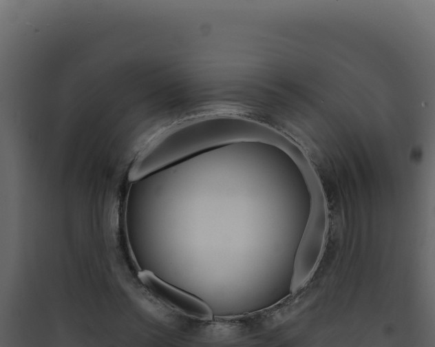 X0000090440350200707131035