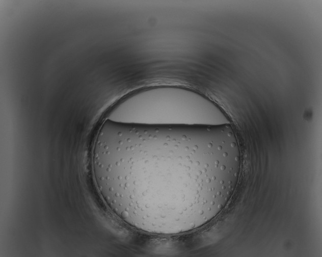 X0000090440351200707131035