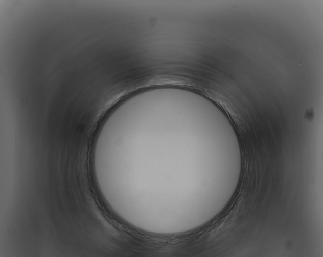 X0000090440352200707131035