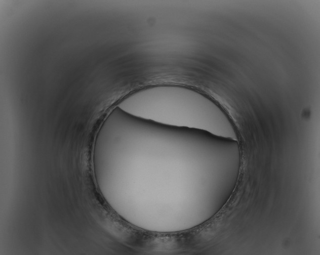 X0000090440353200707131035