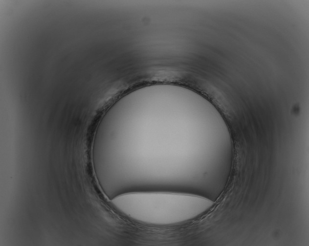 X0000090440354200707131035