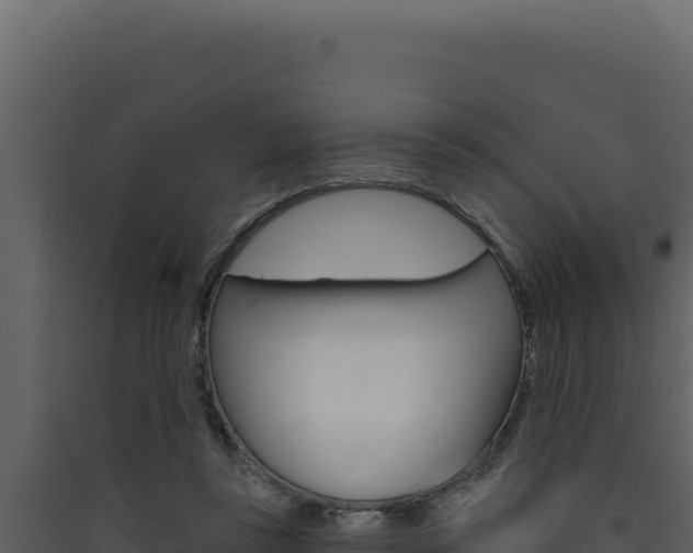 X0000090440355200707131035