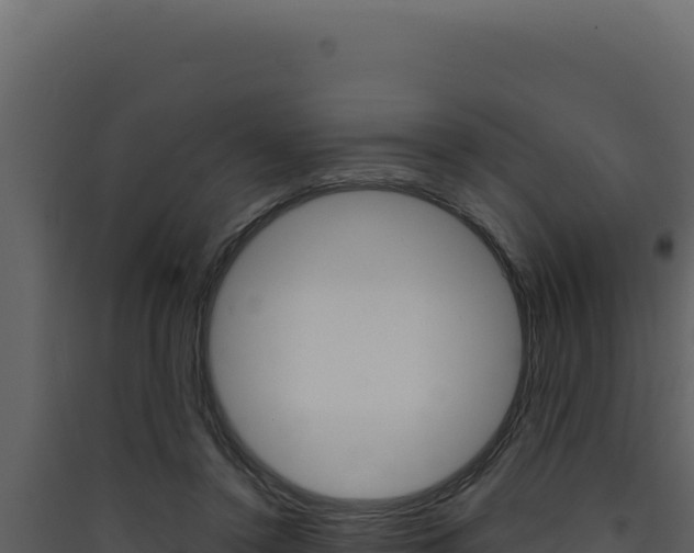 X0000090440356200707131035
