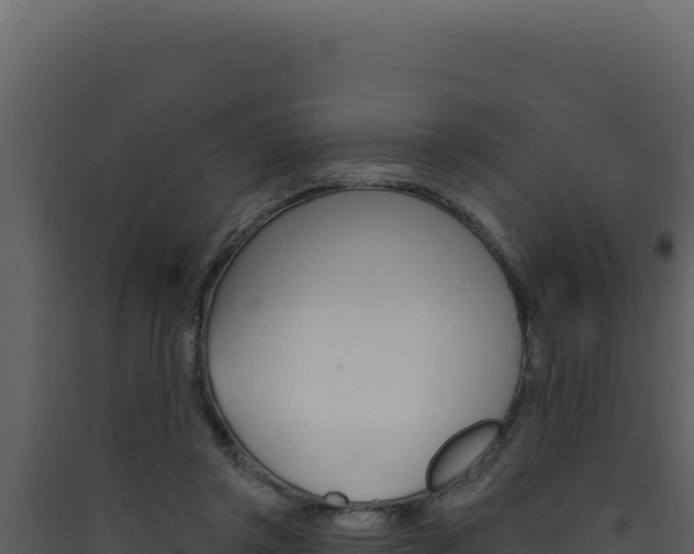 X0000090440357200707131035