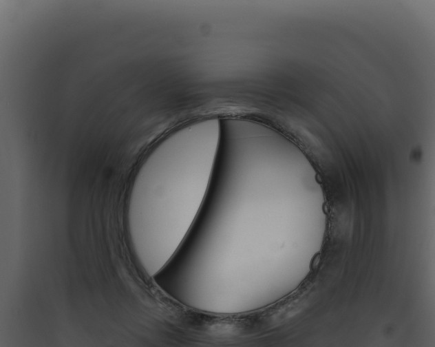X0000090440358200707131035